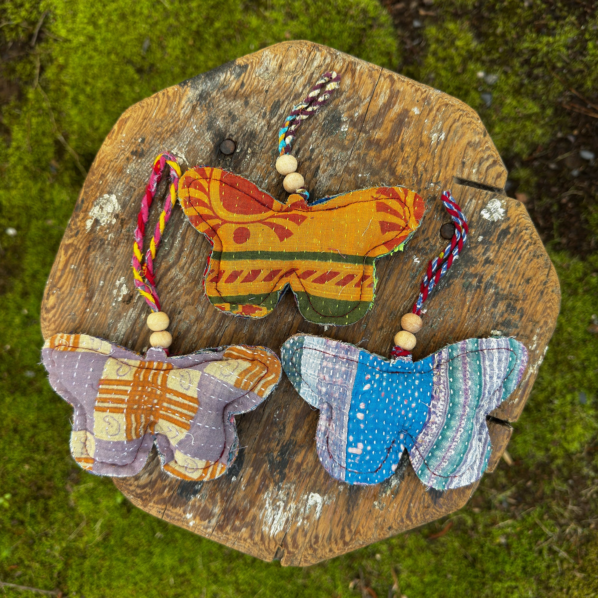 Curated Butterfly Collection