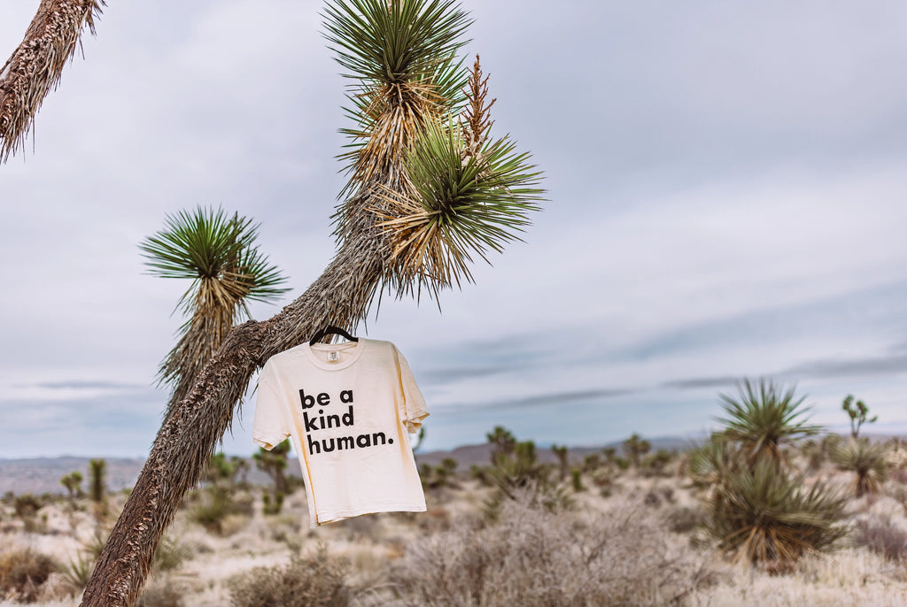 Be a Kind Human Boxy Crop Tee