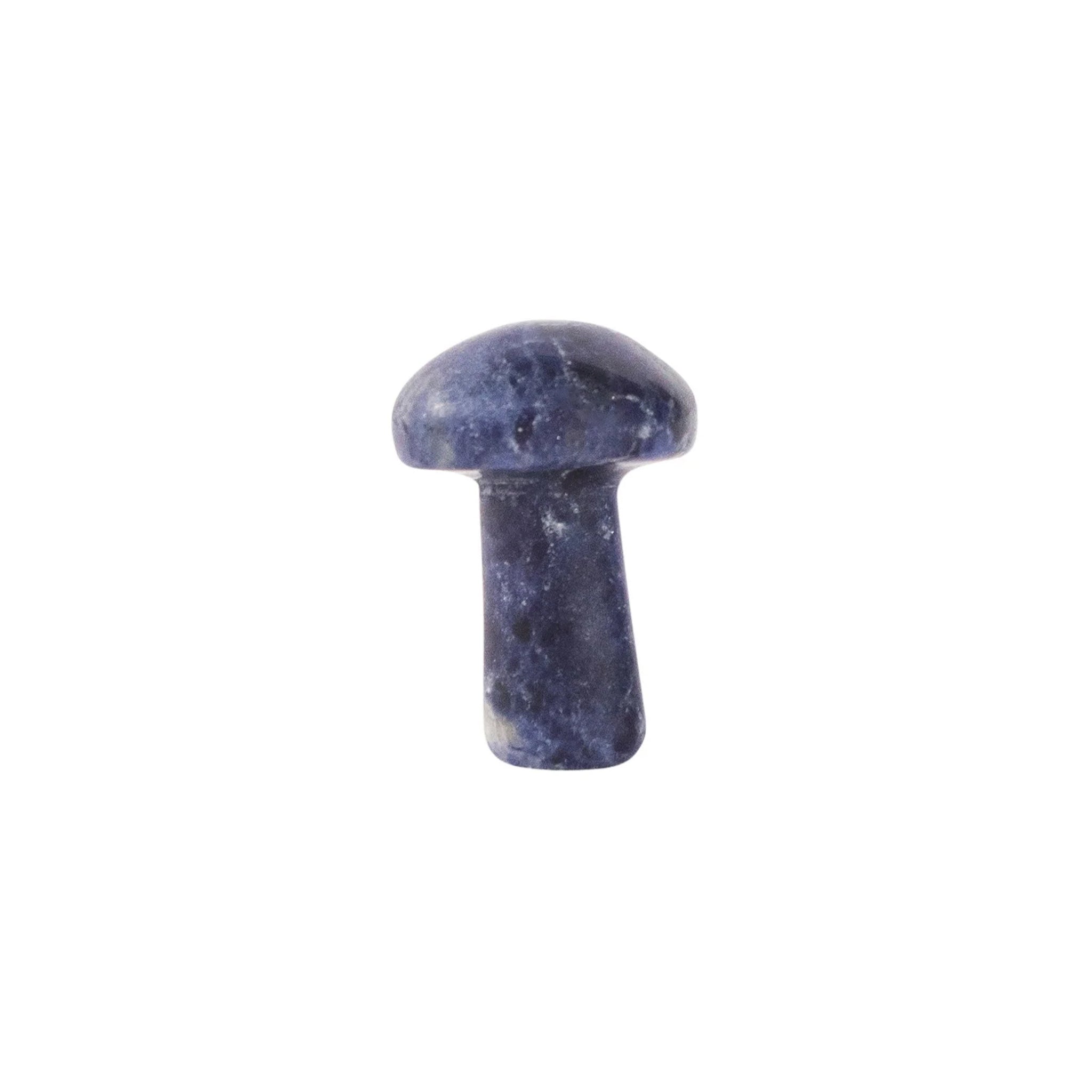 Sodalite Mushroom Mini