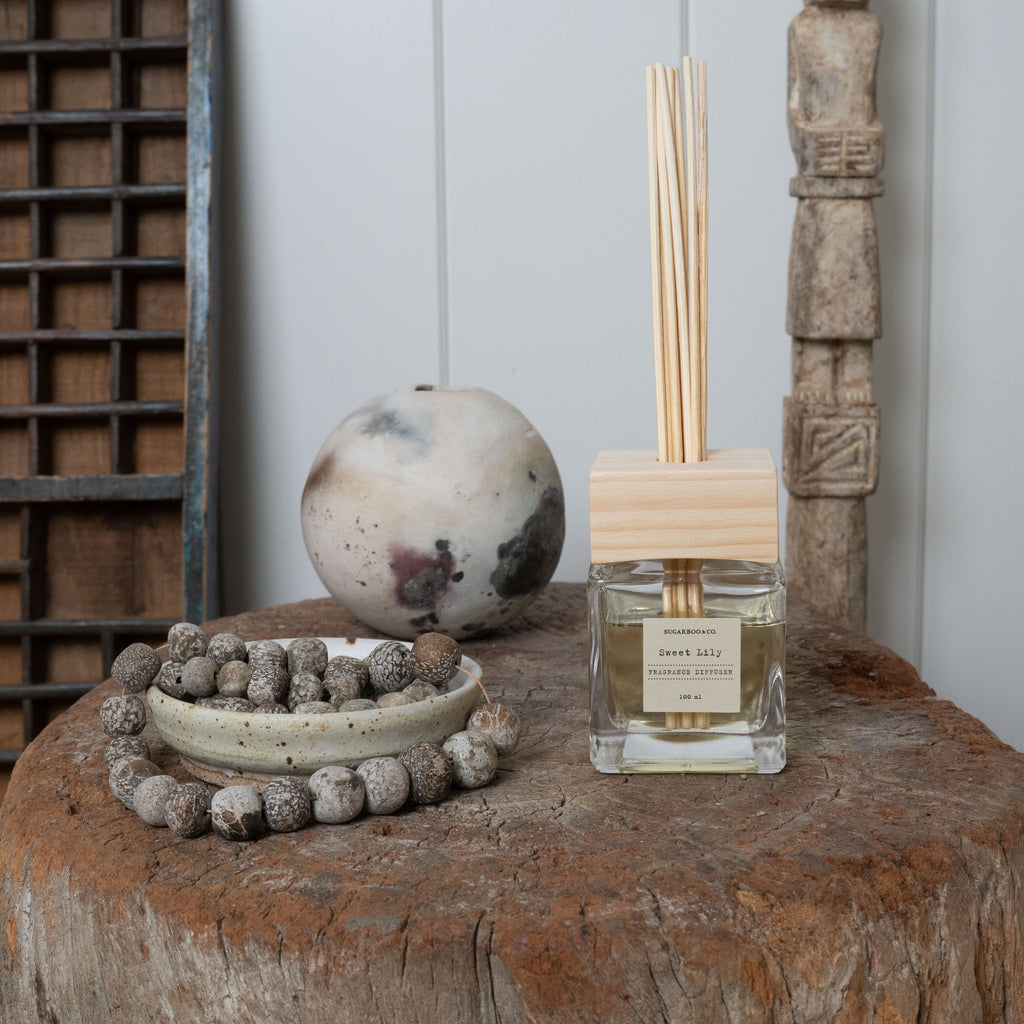 Diffuser Stick Set 100ml