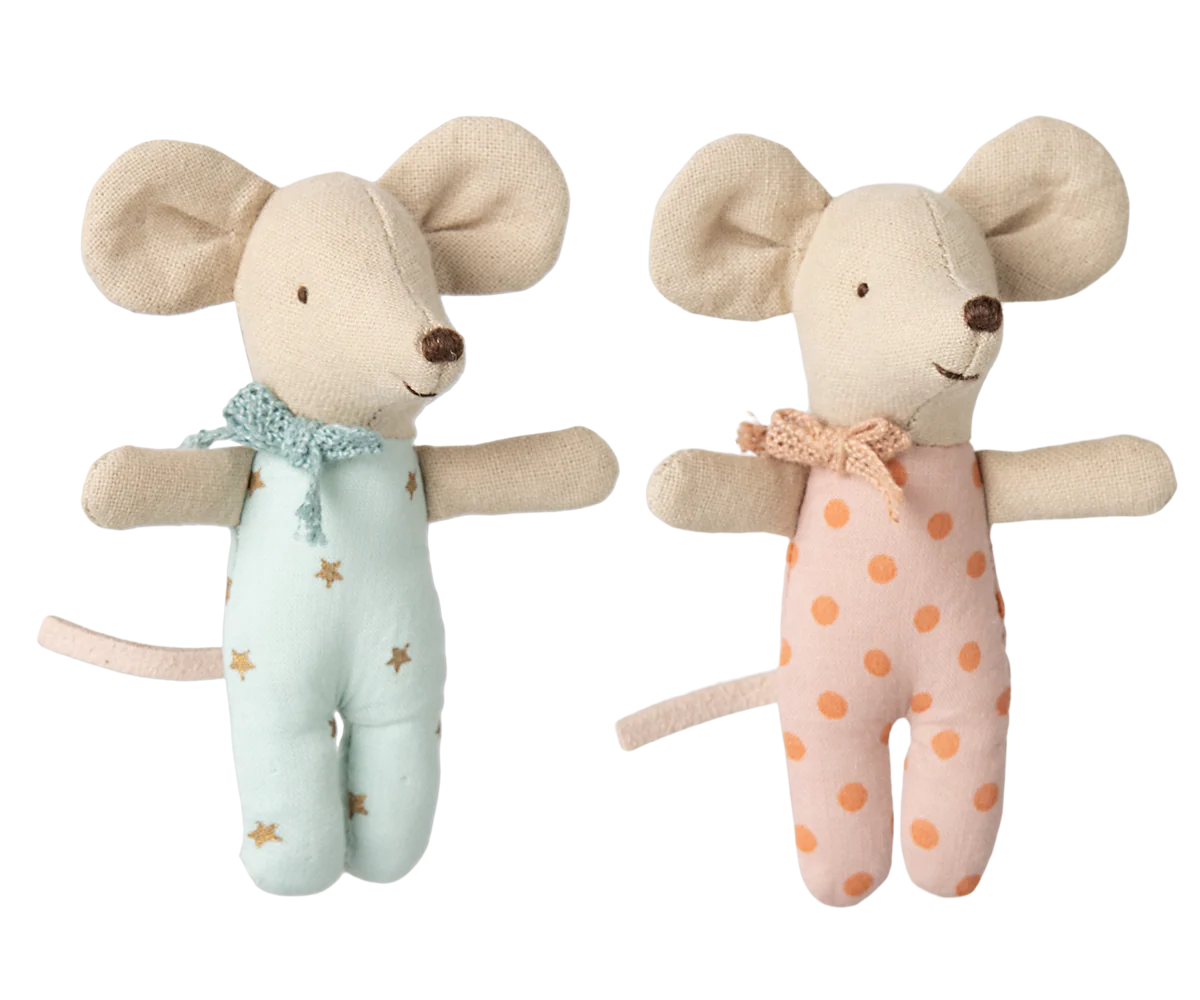 Baby Mice in Matchbox - Twins