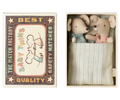 Baby Mice in Matchbox - Twins