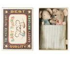 Baby Mice in Matchbox - Twins