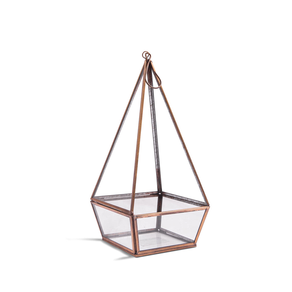 Hanging Glass Terrarium