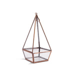 Hanging Glass Terrarium