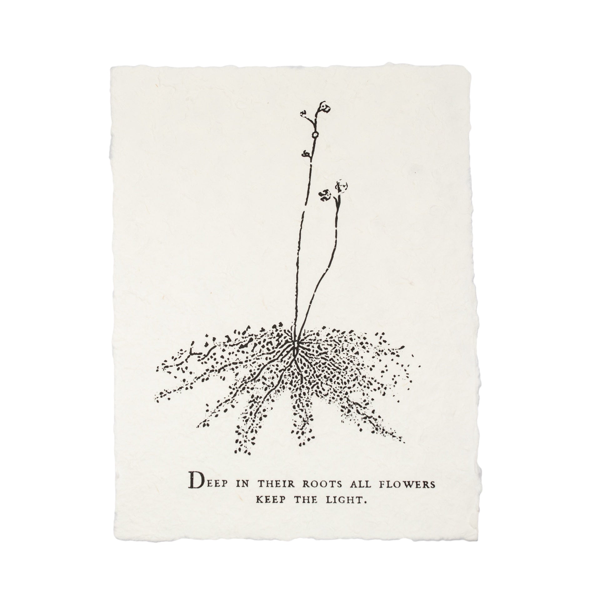 Botanical Handmade Paper Print