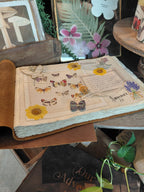 The Story Begins Leather Story Keeper - Bark