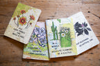 Adventure Journals