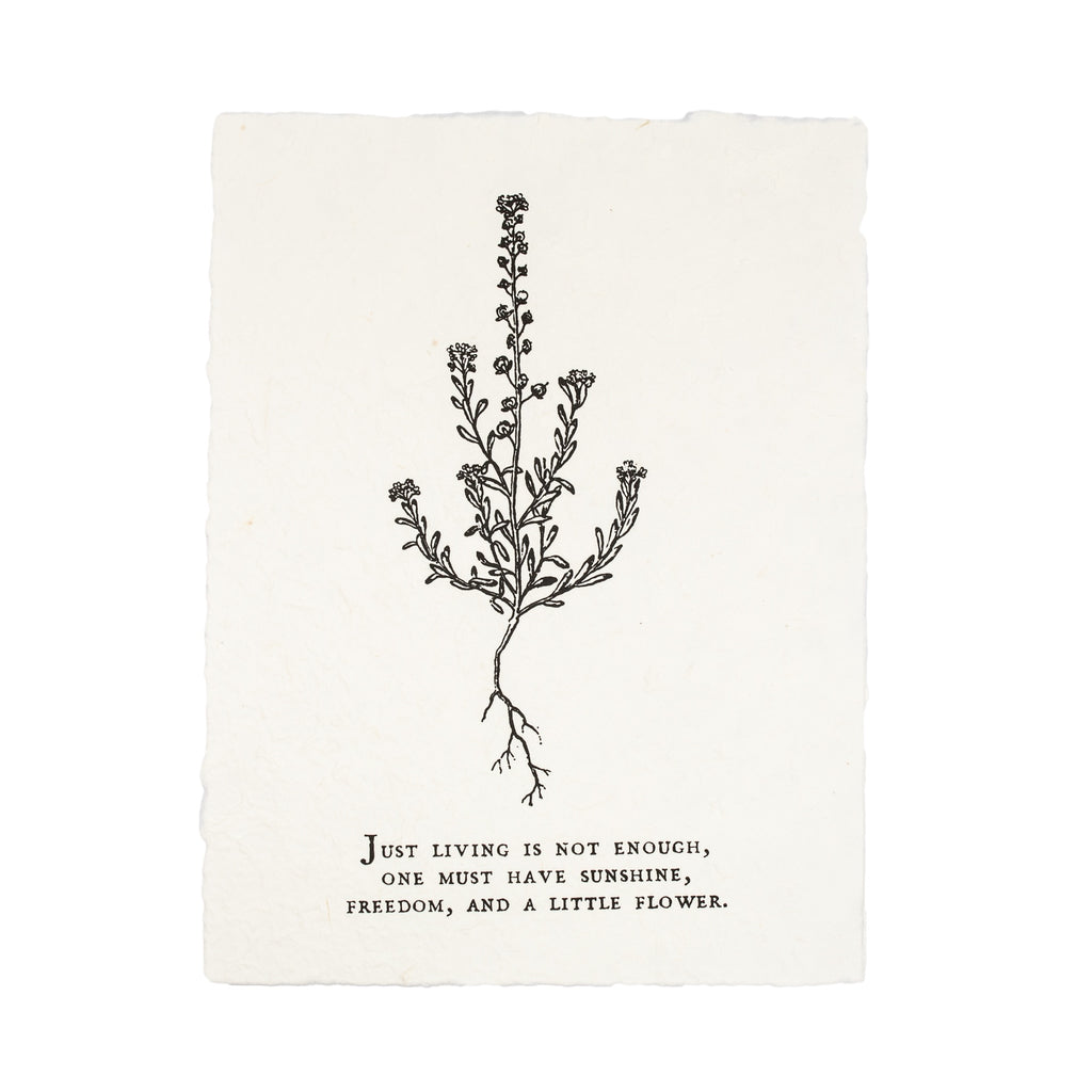 Botanical Handmade Paper Print