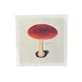 8"x8" Classic Shroom - Flora & Fauna Collection