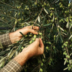 Extra Virgin Olive Oil with Lemon