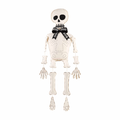 Skeleton Sitter
