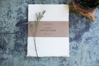 6"x8" Handmade Cotton Paper Bundle - Cream