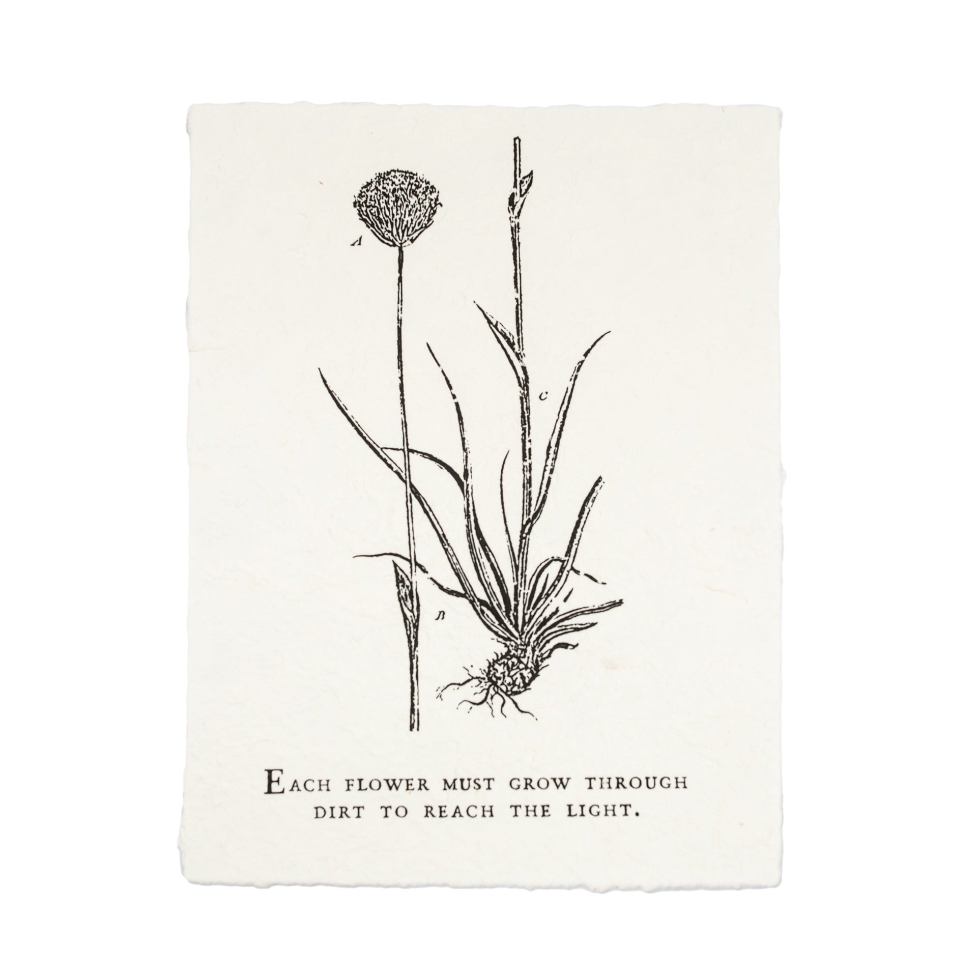 ***Each Flower Must Grow Botanical Handmade Paper Print