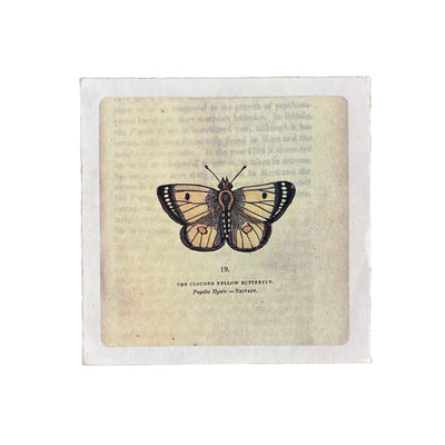 Flora & Fauna 8 x 8