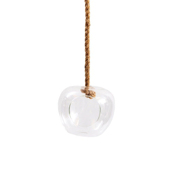 Hanging Terrarium