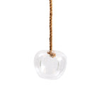 Hanging Terrarium