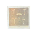 8"x8" Skinny Shrooms - Flora & Fauna Collection