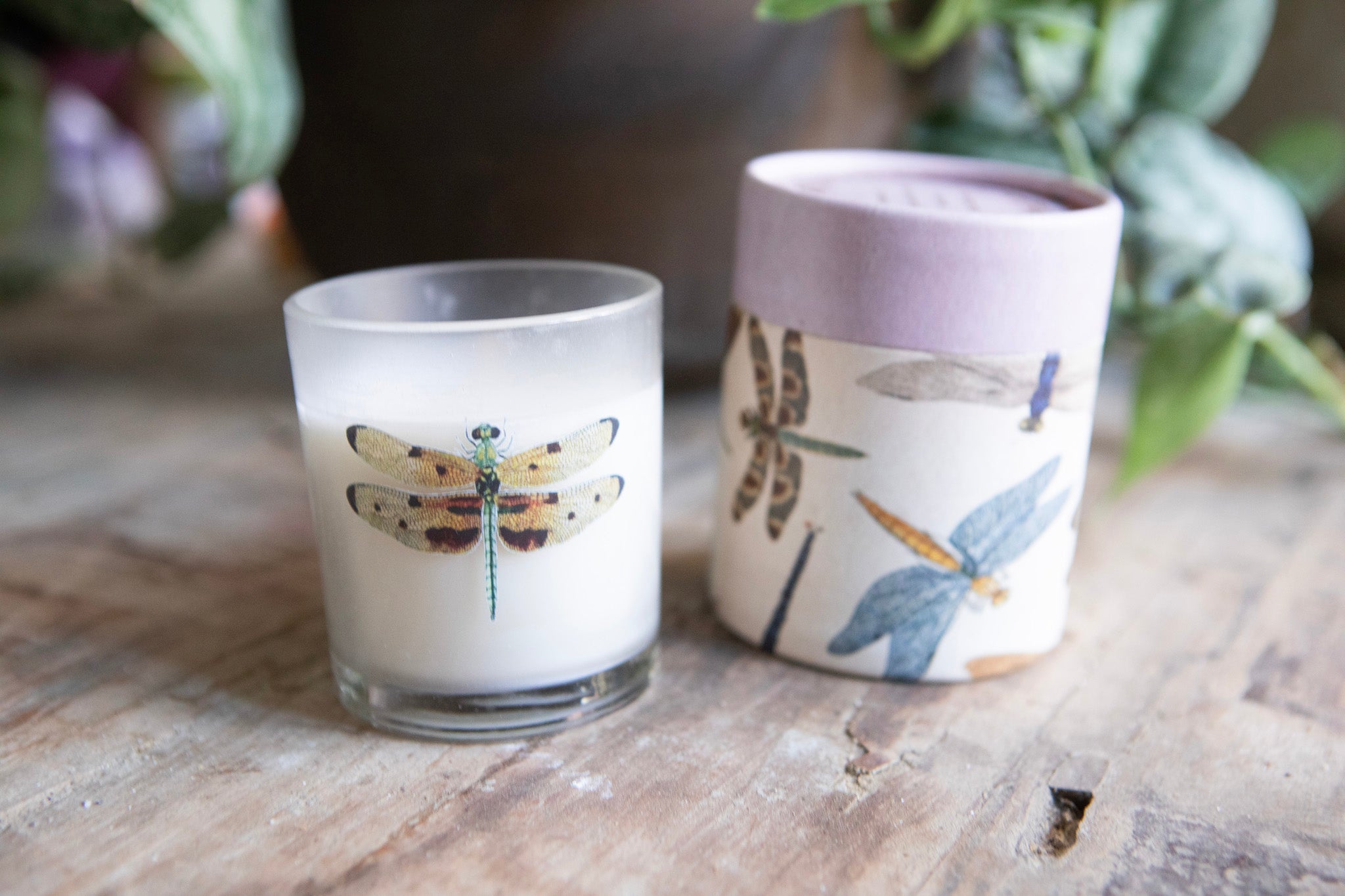 Flora & Fauna Dragonfly Candle