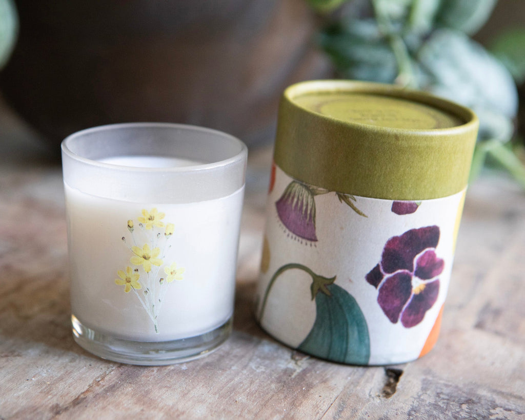 Yellow Pansy Flower Flora & Fauna Candle