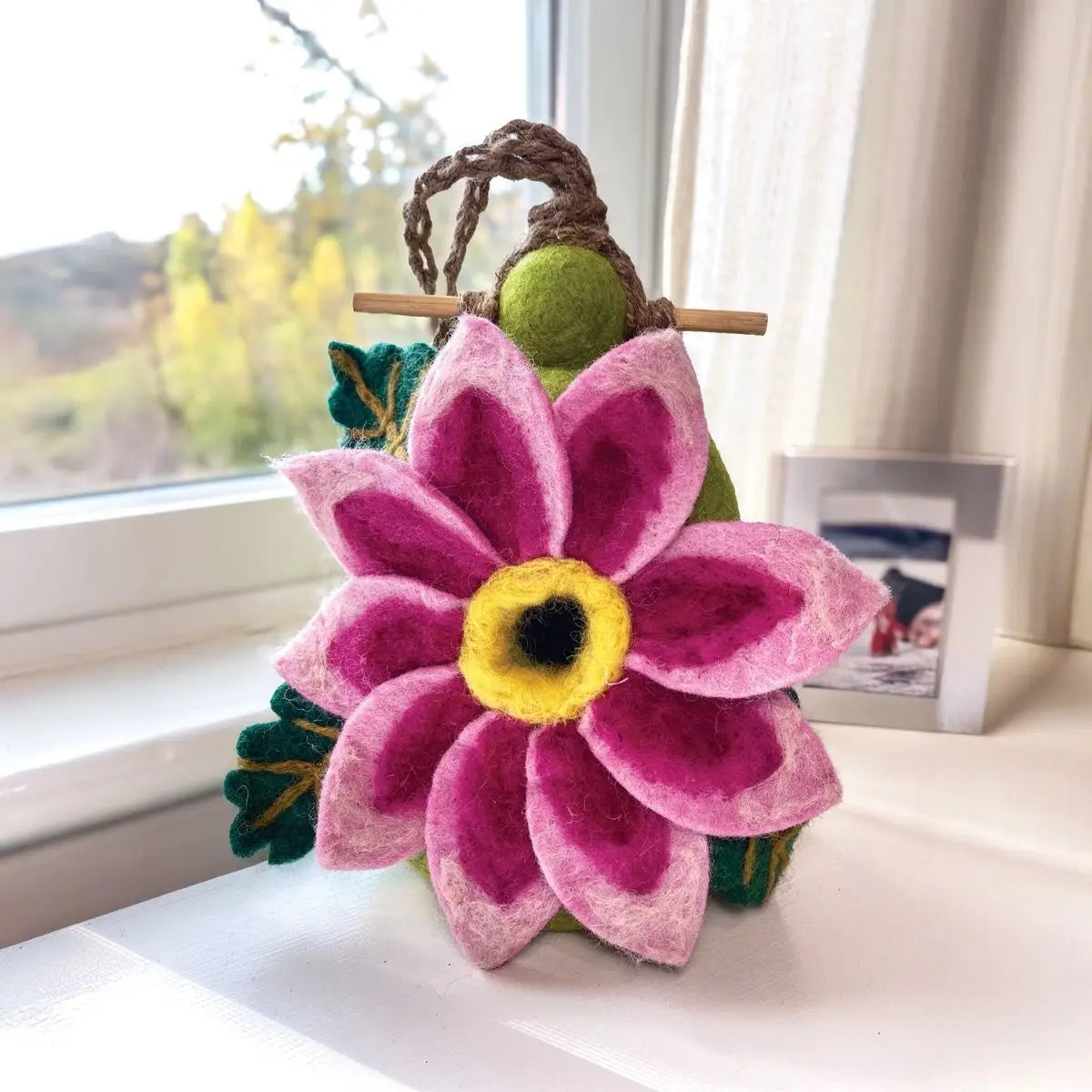Birdhouse, Dahlia Star