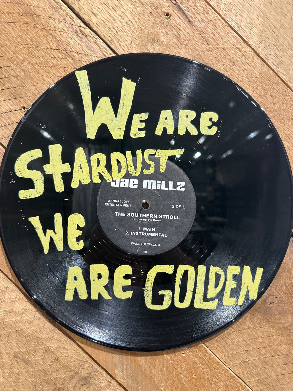We Are Stardust We Are Golden Vinyl Record