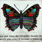 Butterfly Art Print