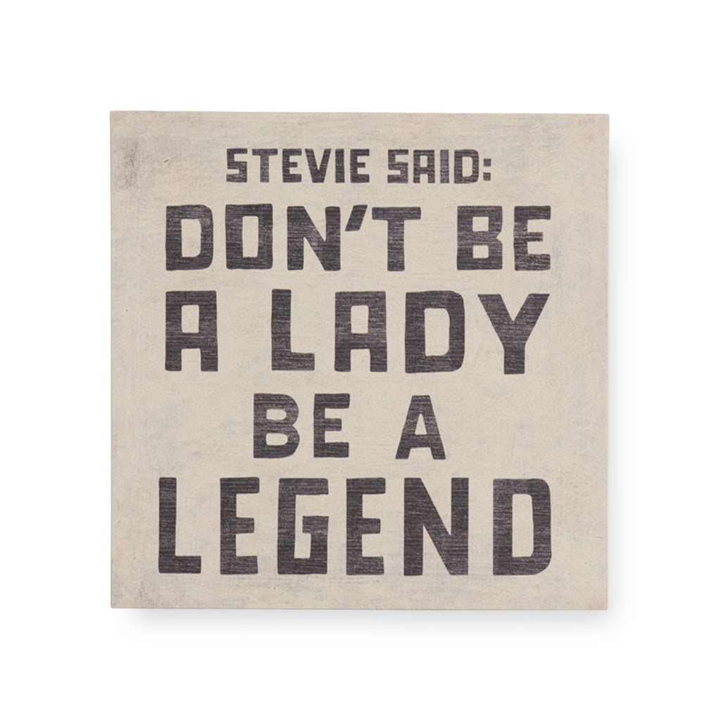 Stevie Said Art Poster