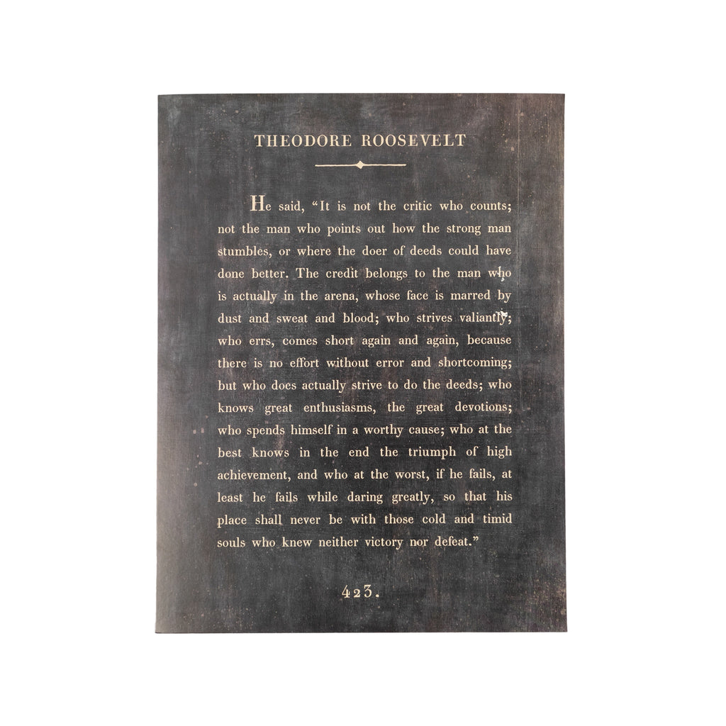 12"x16" Theodore Roosevelt Book Collection Art Poster - Charcoal