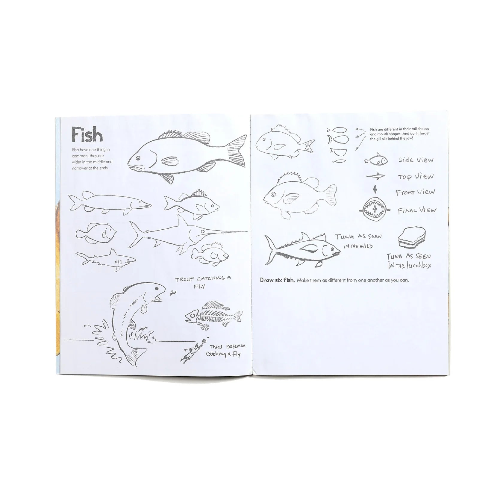 Learn To Draw Animals Art Book