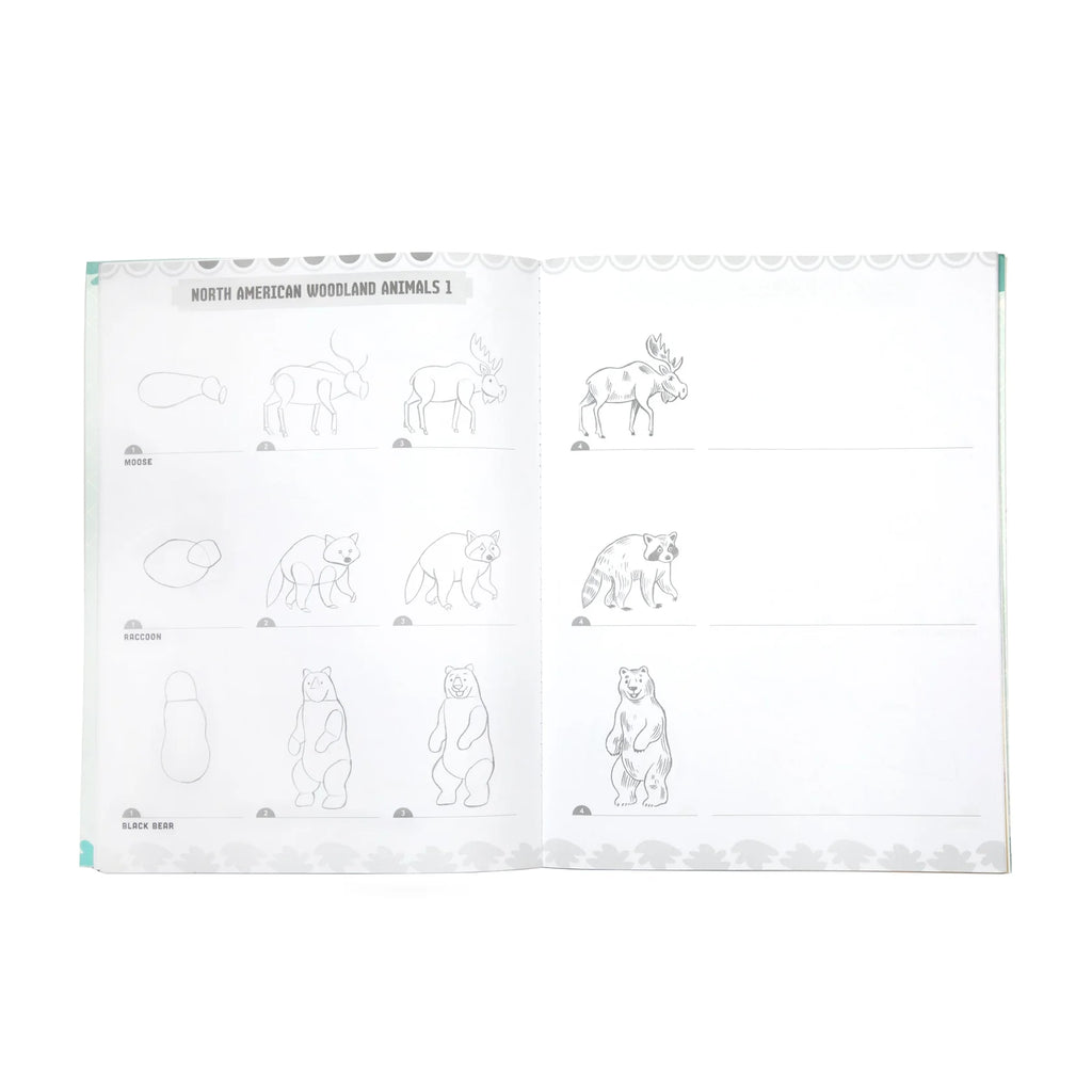 Learn to Draw Wild Animals