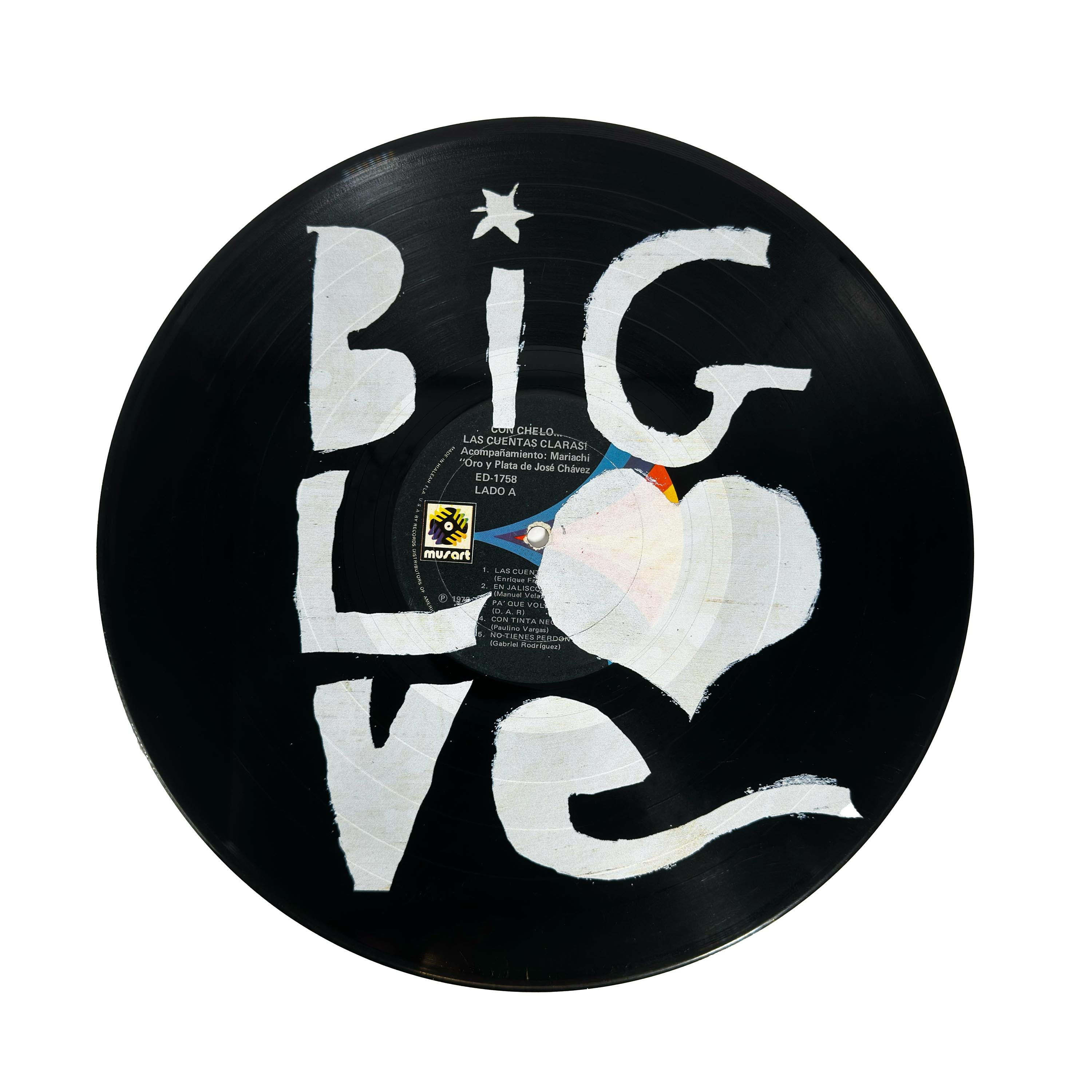 Big Love Vinyl Record