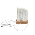 Large Selenite LED Lamp