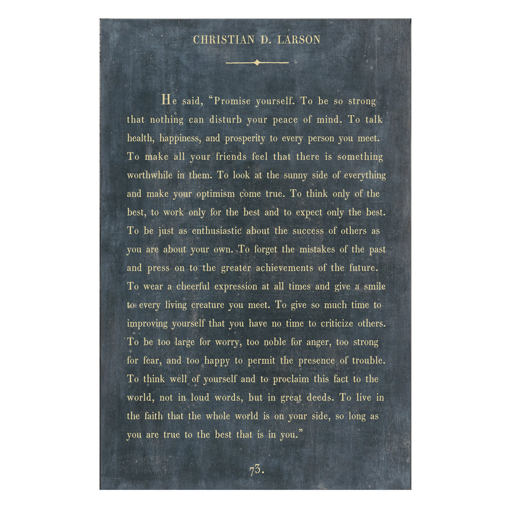 Christian D. Larson - Book Collection - Art Print
