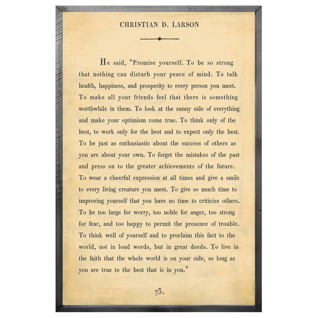 Christian D. Larson Art Print - Book Collection