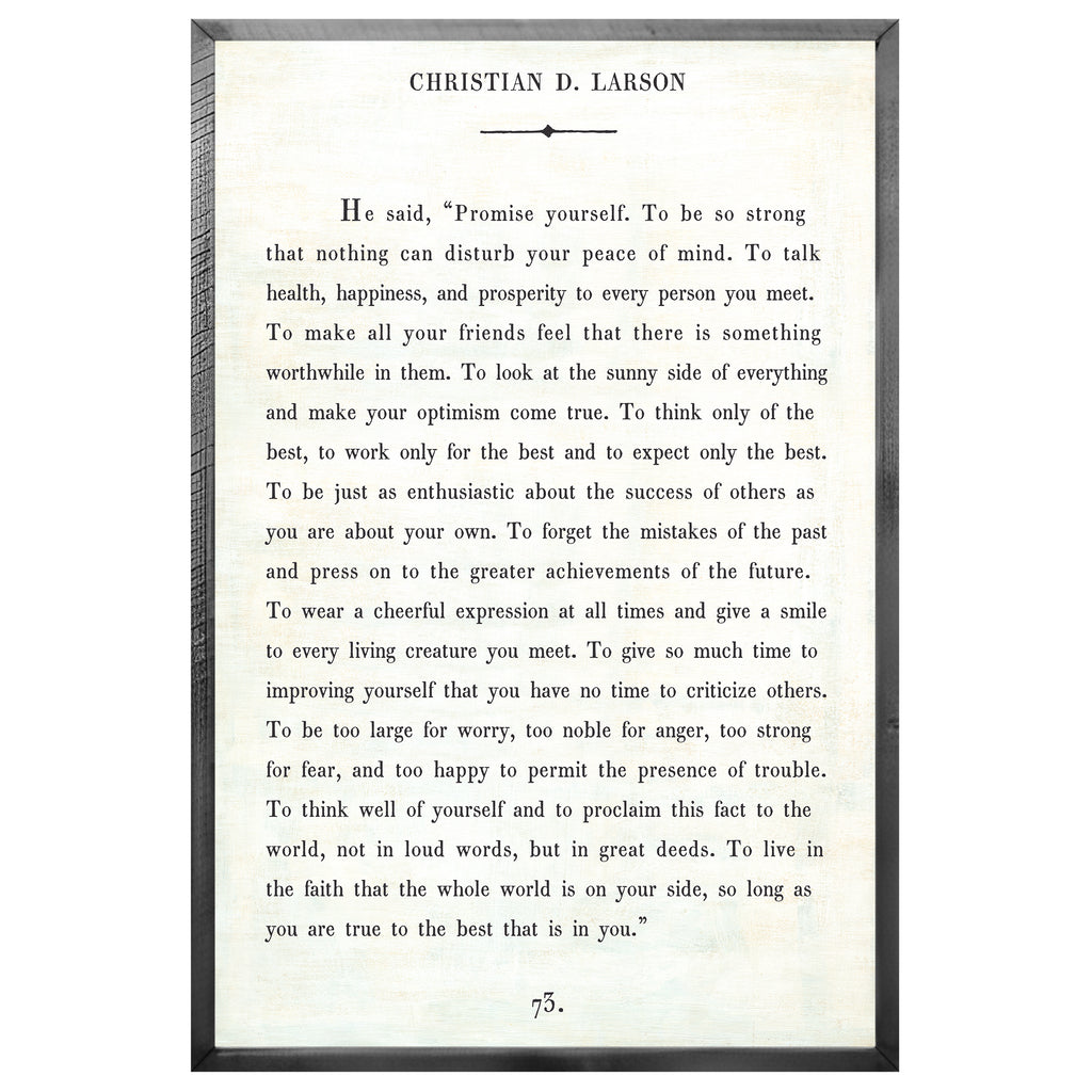Christian D. Larson Art Print - Book Collection