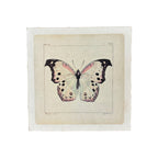 Flora & Fauna 8 x 8