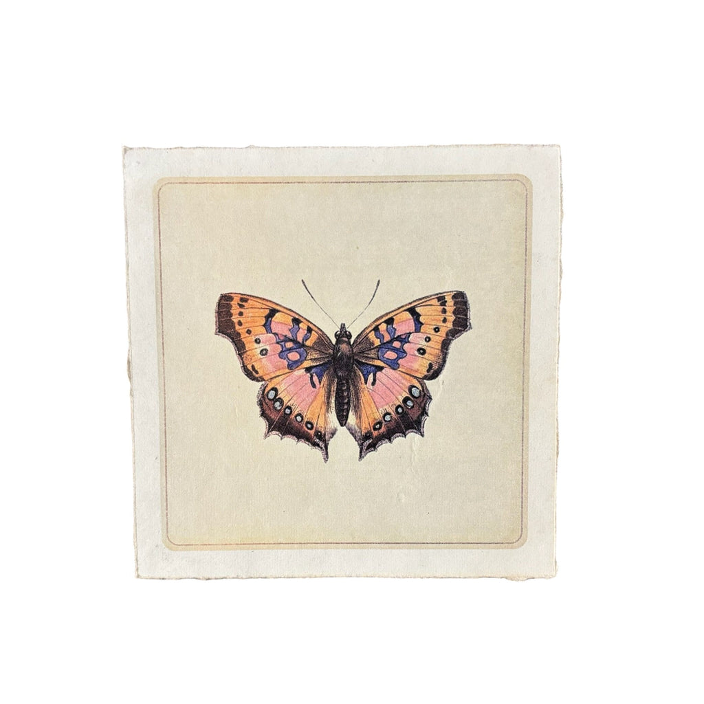 Flora & Fauna 8 x 8