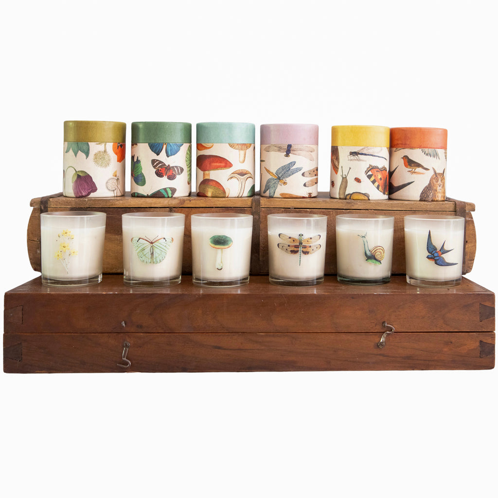 Flora & Fauna Candle Collection