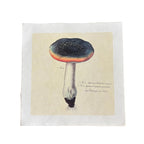 11"x11" Rainbow Shroom - Flora & Fauna Collection