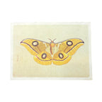 16"x12" Yellow Moth - Flora & Fauna Collection