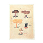 12"x16" Neutral Shrooms- Flora & Fauna Collection