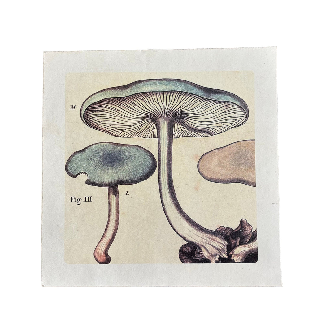 11"x11" Blue Shrooms - Flora & Fauna Collection