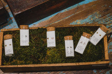 Message in a Bottle Earring Collection - Gold Stars