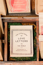 The Little Book Of Love Letters To The World