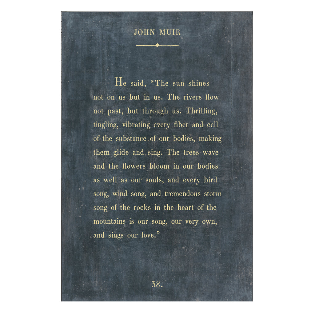John Muir Art Print - Book Collection