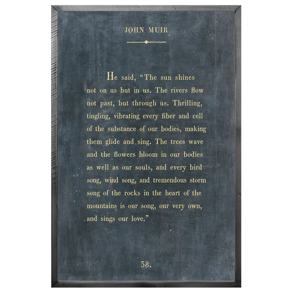 John Muir Art Print - Book Collection