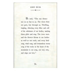 John Muir Art Print - Book Collection