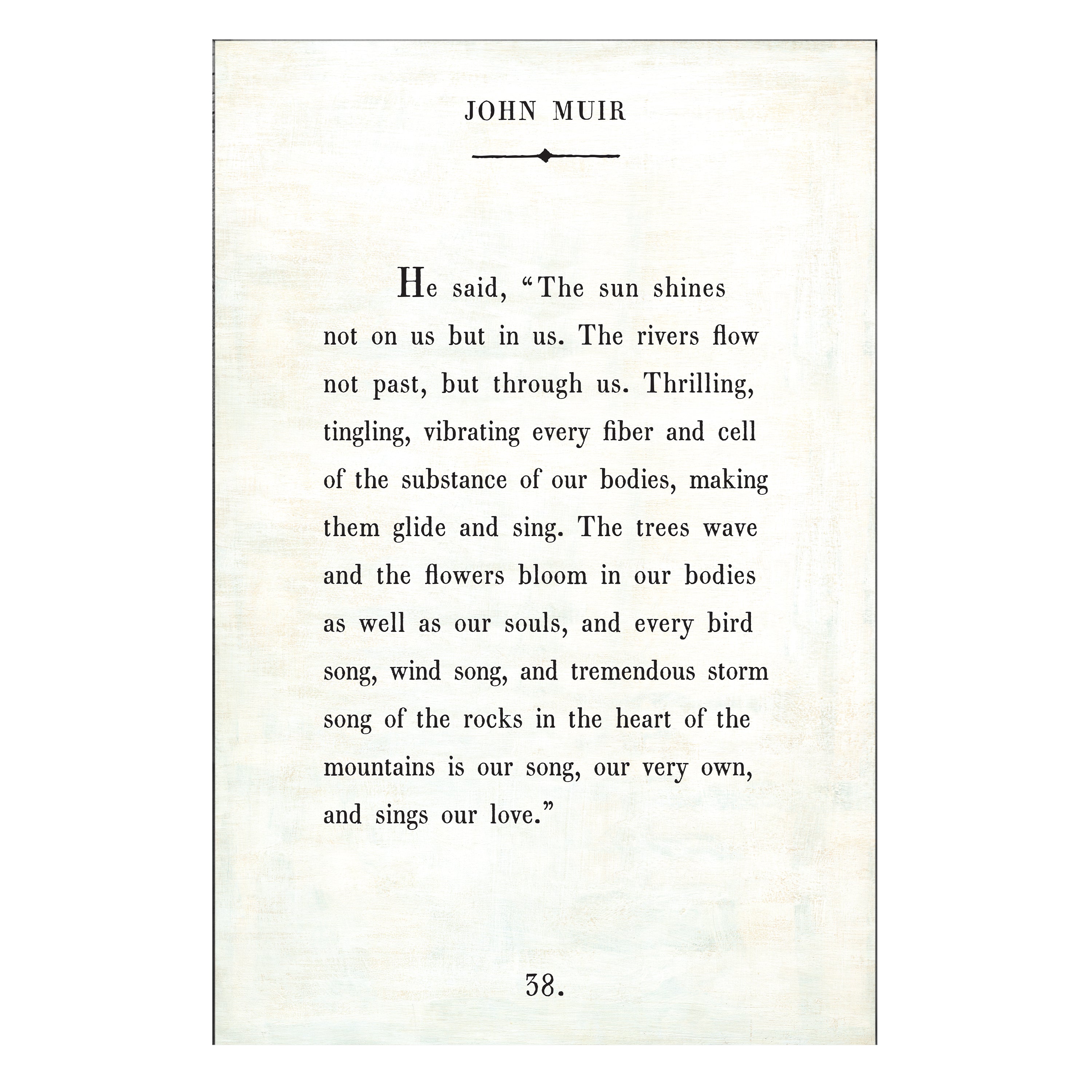 John Muir - Book Collection - Art Print