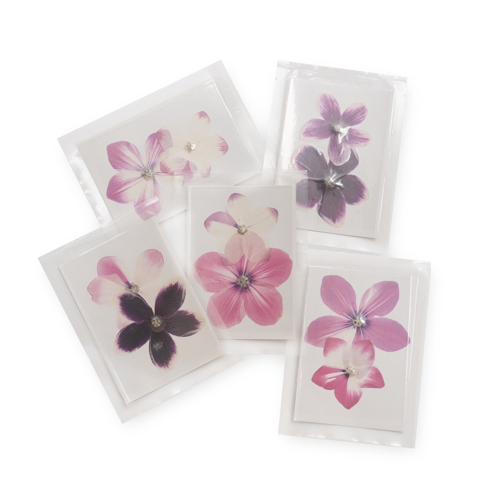 Large Pressed Botanicals- Persian